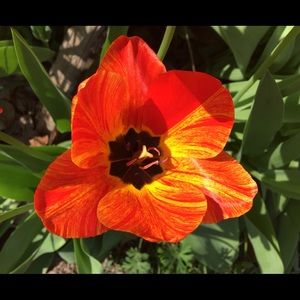 Meet your Posher, Tammy